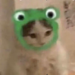 Meet your Posher, Mariama